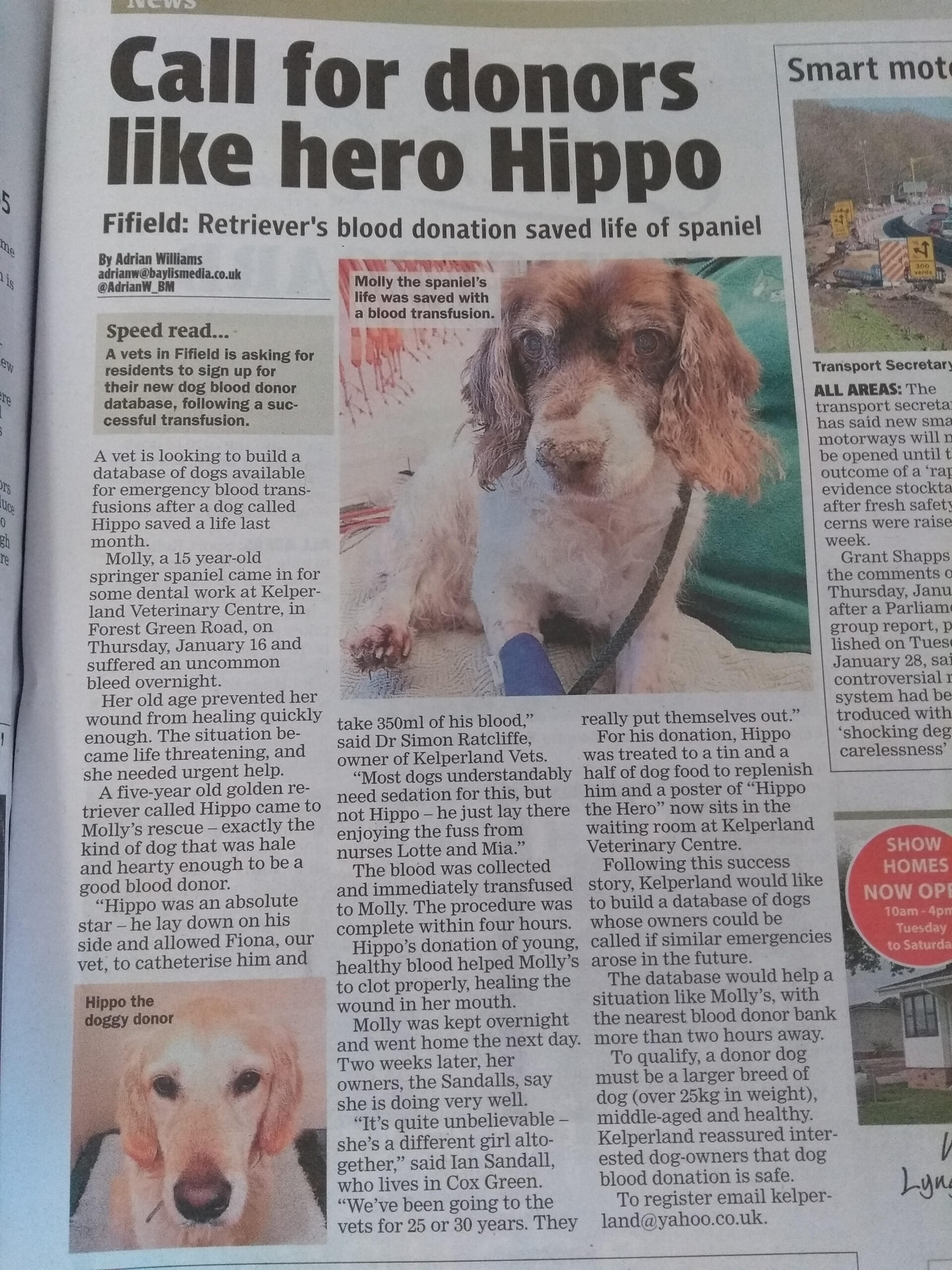 Kelperland Vets news
