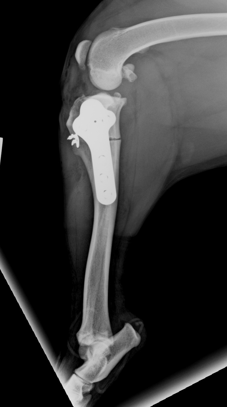 Post-operative ML view