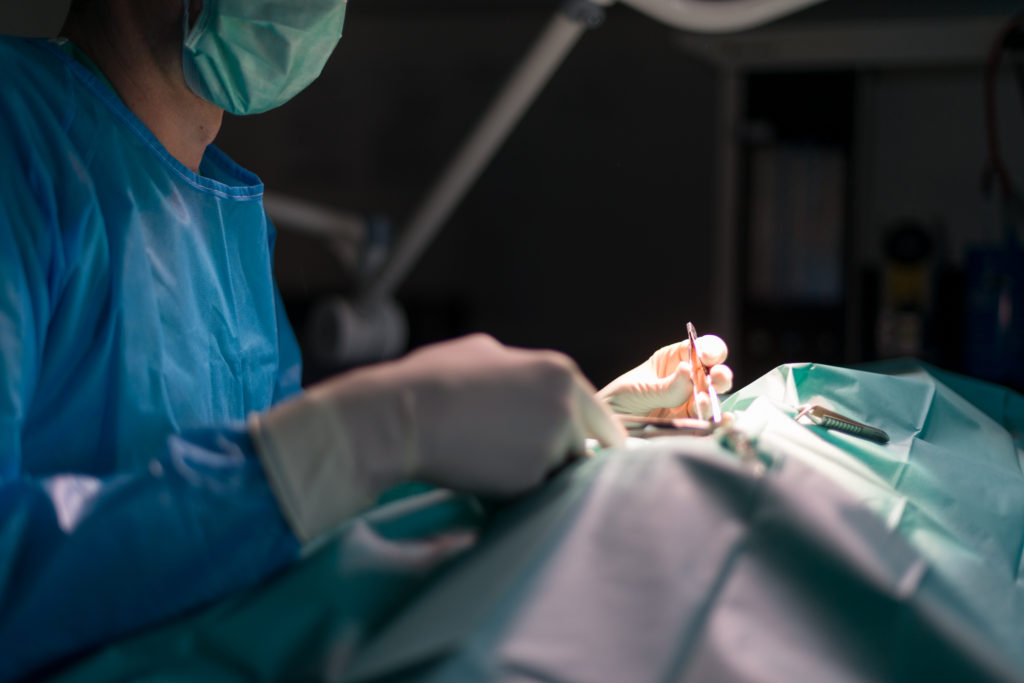 Surgical procedure at Kelperland