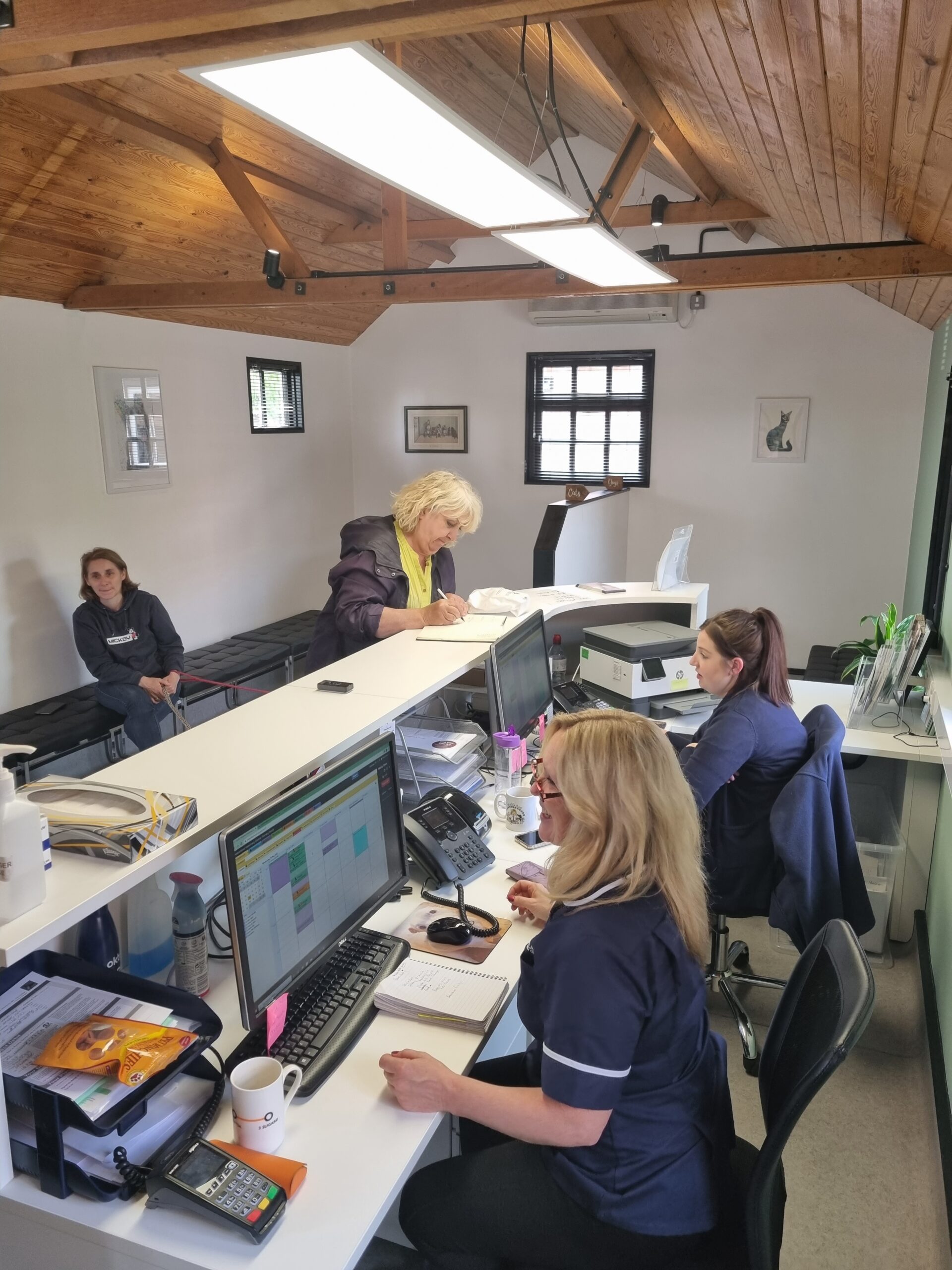 Emergency veterinary care