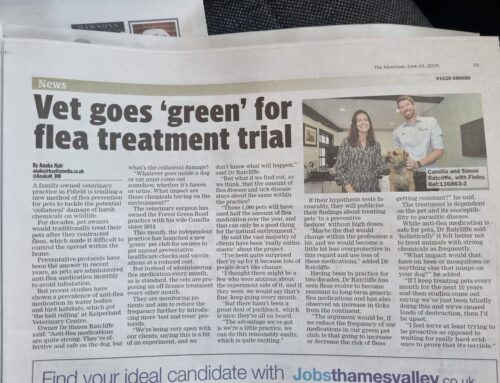 Article: “Fifield vets launch new ‘green’ pet club”